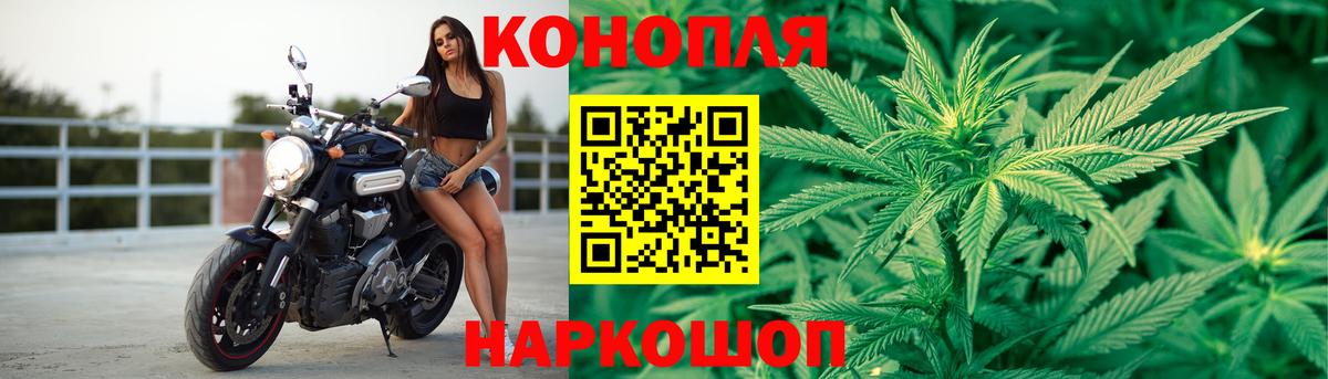 Конопля планчик Елец